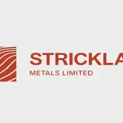 Strickland Metals (ASX: STK) issued 4,000,000 fully paid ordinary shares for nil consideration